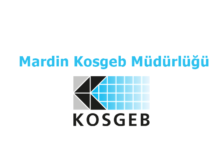 Kosgeb Mardin